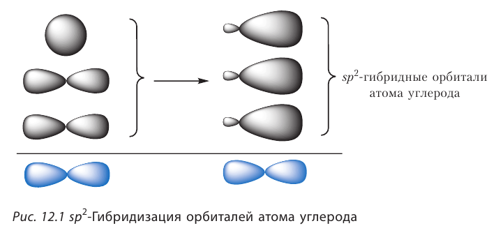 Органическая химия - основные понятия, что изучает, формулы и определения с примерами