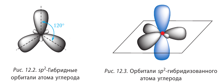 Органическая химия - основные понятия, что изучает, формулы и определения с примерами