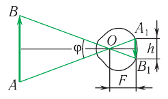Оптика в физике - основные понятия, формулы и определение с примерами