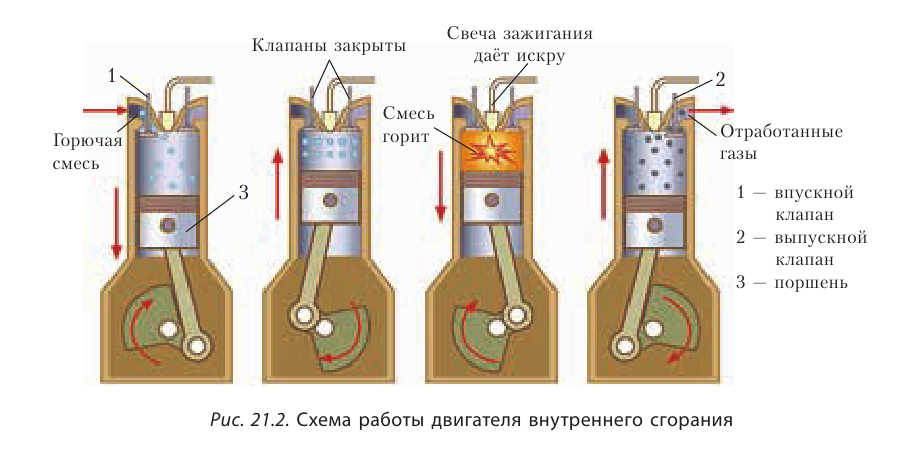 Органическая химия - основные понятия, что изучает, формулы и определения с примерами