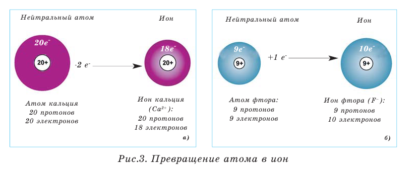 Сколько атомов в кальции