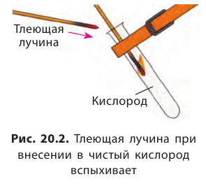 Неорганическая химия - основные понятия, законы, формулы, определения и примеры