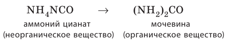 Органическая химия - основные понятия, что изучает, формулы и определения с примерами