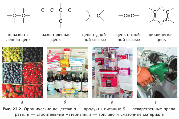 Органическая химия - основные понятия, что изучает, формулы и определения с примерами