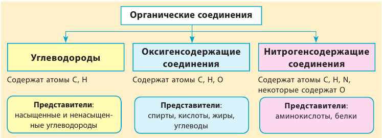 Органическая химия - основные понятия, что изучает, формулы и определения с примерами