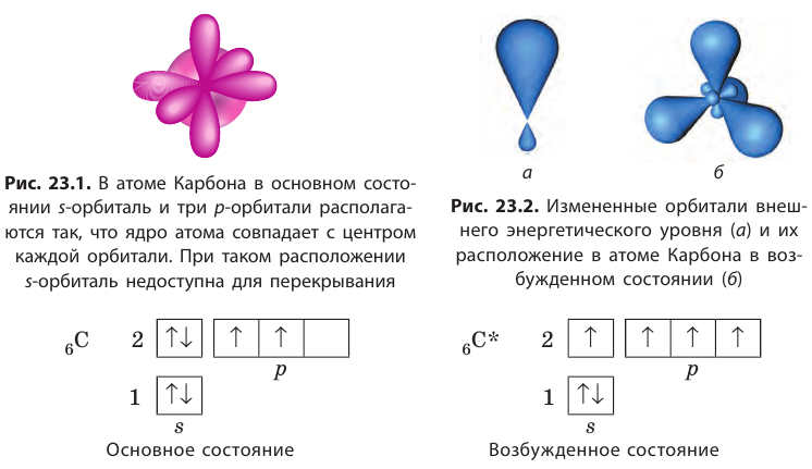 Органическая химия - основные понятия, что изучает, формулы и определения с примерами