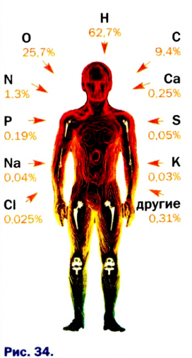 Основные законы и понятия химии - формулы, определения с примерами