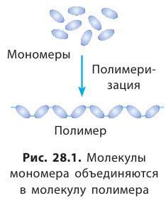 Органическая химия - основные понятия, что изучает, формулы и определения с примерами