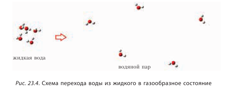 Органическая химия - основные понятия, что изучает, формулы и определения с примерами