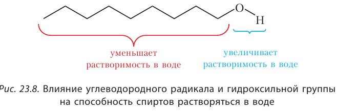 Органическая химия - основные понятия, что изучает, формулы и определения с примерами