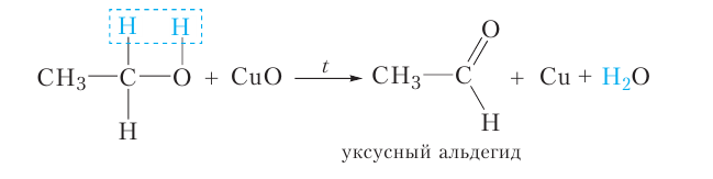 Органическая химия - основные понятия, что изучает, формулы и определения с примерами