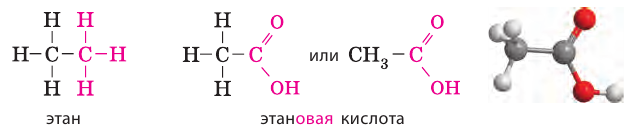 Органическая химия - основные понятия, что изучает, формулы и определения с примерами