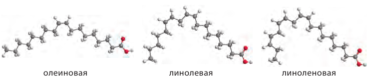 Органическая химия - основные понятия, что изучает, формулы и определения с примерами