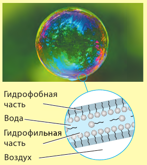 Органическая химия - основные понятия, что изучает, формулы и определения с примерами