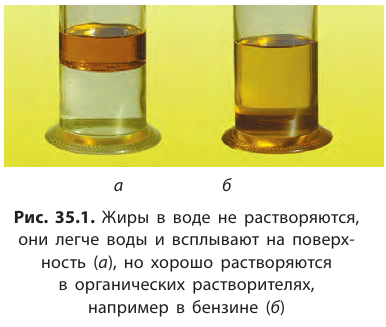 Органическая химия - основные понятия, что изучает, формулы и определения с примерами