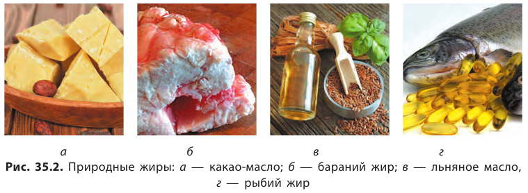 Органическая химия - основные понятия, что изучает, формулы и определения с примерами