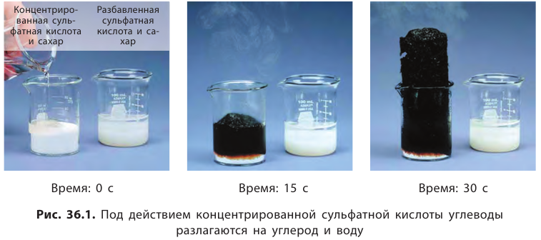 Органическая химия - основные понятия, что изучает, формулы и определения с примерами