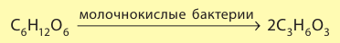 Органическая химия - основные понятия, что изучает, формулы и определения с примерами