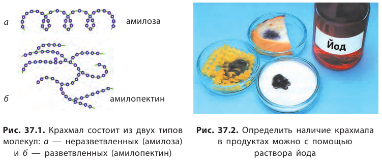 Органическая химия - основные понятия, что изучает, формулы и определения с примерами