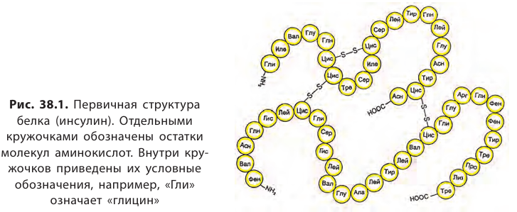 Органическая химия - основные понятия, что изучает, формулы и определения с примерами