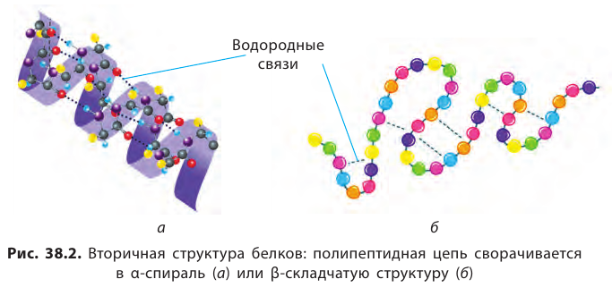 Органическая химия - основные понятия, что изучает, формулы и определения с примерами