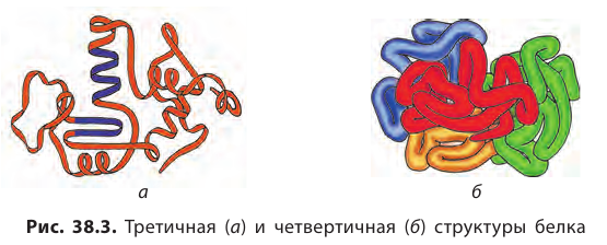 Органическая химия - основные понятия, что изучает, формулы и определения с примерами