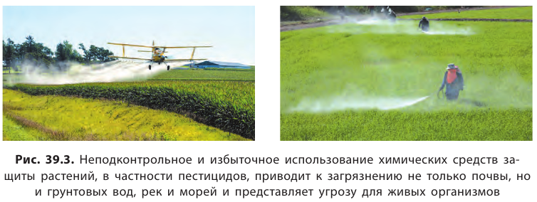 Органическая химия - основные понятия, что изучает, формулы и определения с примерами