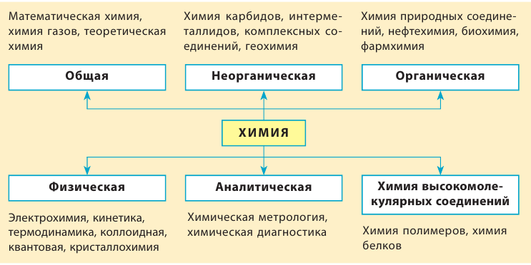 Место химии в системе наук - роль и значение с примерами