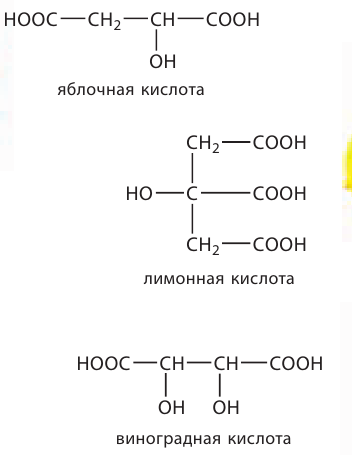 Органическая химия - основные понятия, что изучает, формулы и определения с примерами