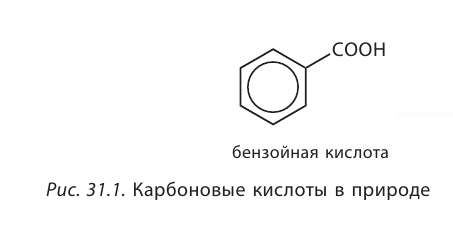 Органическая химия - основные понятия, что изучает, формулы и определения с примерами