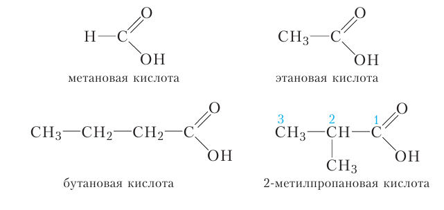 Органическая химия - основные понятия, что изучает, формулы и определения с примерами
