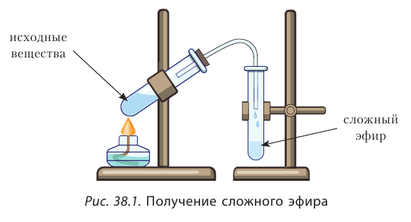 Органическая химия - основные понятия, что изучает, формулы и определения с примерами