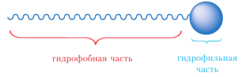 Органическая химия - основные понятия, что изучает, формулы и определения с примерами