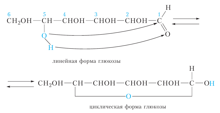 Органическая химия - основные понятия, что изучает, формулы и определения с примерами