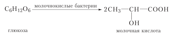 Органическая химия - основные понятия, что изучает, формулы и определения с примерами