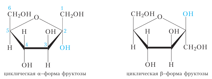 Органическая химия - основные понятия, что изучает, формулы и определения с примерами