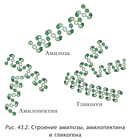 Органическая химия - основные понятия, что изучает, формулы и определения с примерами