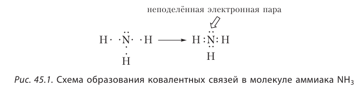 Органическая химия - основные понятия, что изучает, формулы и определения с примерами