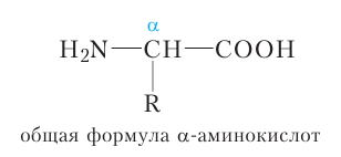 Органическая химия - основные понятия, что изучает, формулы и определения с примерами