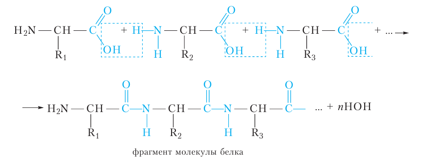 Органическая химия - основные понятия, что изучает, формулы и определения с примерами