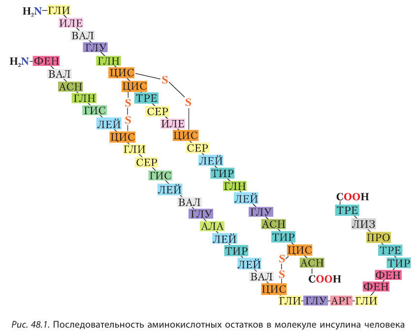 Органическая химия - основные понятия, что изучает, формулы и определения с примерами