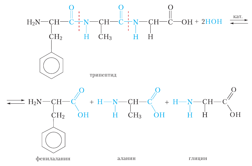 Органическая химия - основные понятия, что изучает, формулы и определения с примерами