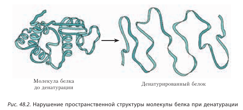 Органическая химия - основные понятия, что изучает, формулы и определения с примерами