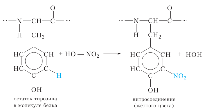 Органическая химия - основные понятия, что изучает, формулы и определения с примерами