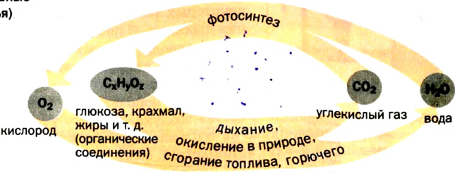 Кислород как химический элемент в химии - формулы, определение с примерами