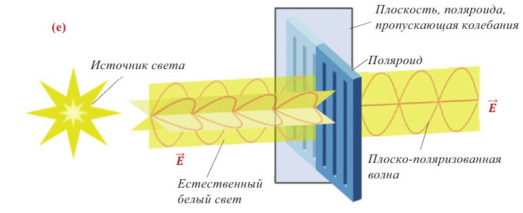 Поляризация света в физике - формулы и определения с примерами