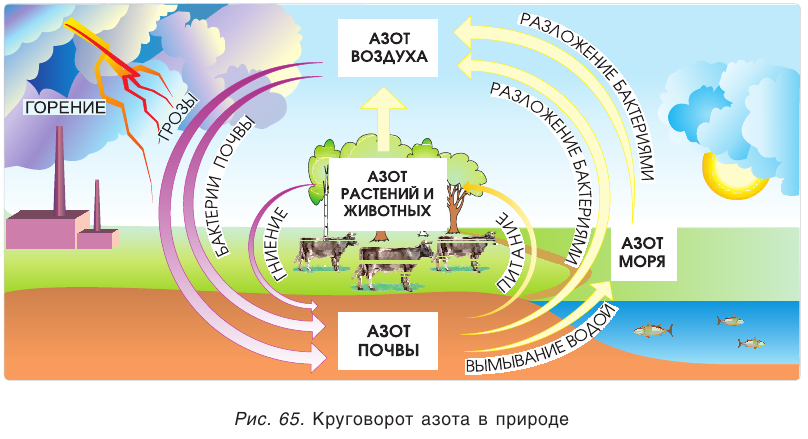 Азот в химии - классификация, получение, свойства, формулы и определения с примерами