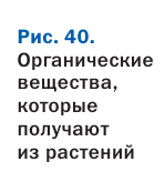 Органическая химия - основные понятия, что изучает, формулы и определения с примерами