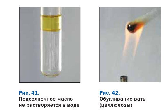 Органическая химия - основные понятия, что изучает, формулы и определения с примерами