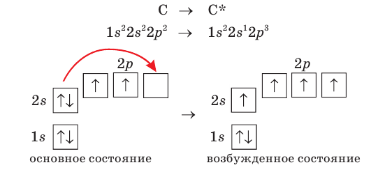 Органическая химия - основные понятия, что изучает, формулы и определения с примерами